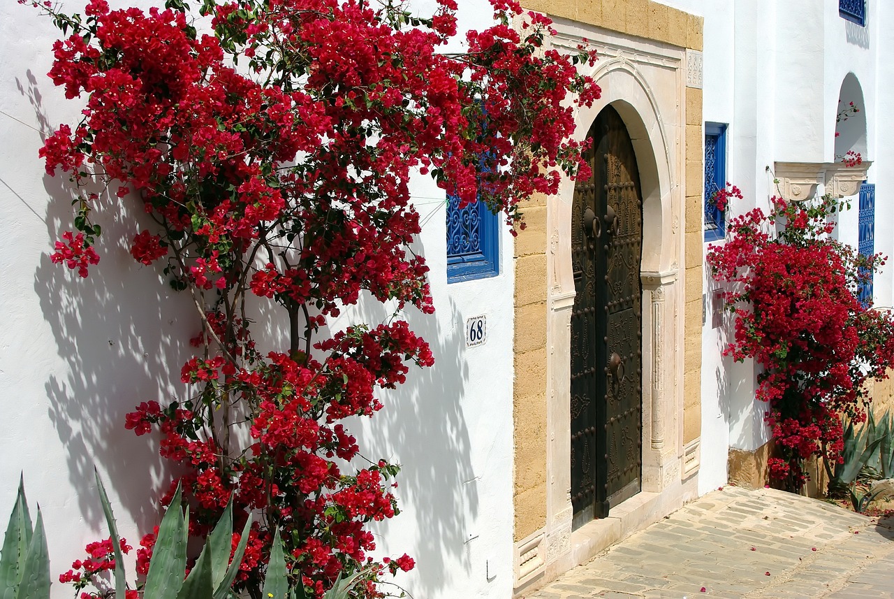  Tunis, Sidi Bou Said French - Tunisia 3
